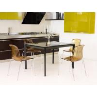 Allegra Indoor Dining Chair Transparent Amber ISP057-TAMB - 9